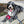 Dr. Pooper Dog Toy