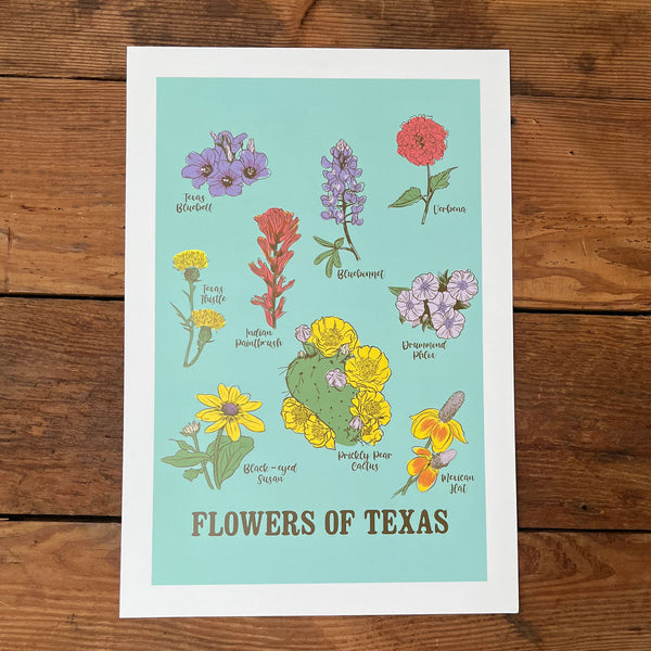 Flowers of Texas Art Print