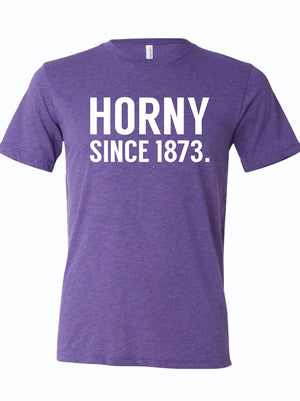 A stylish purple unisex fine jersey tee featuring the bold text 'Horny Since 1873', perfect as a Texas themed gift. This comfortable shirt is ideal for anyone looking for Texas Made Gifts or unique souvenirs from Texas. A great Dallas souvenir and a fun addition to your collection of Texan gifts.