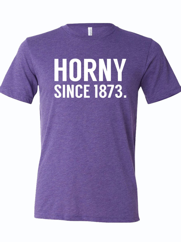 A stylish purple unisex fine jersey tee featuring the bold text 'Horny Since 1873', perfect as a Texas themed gift. This comfortable shirt is ideal for anyone looking for Texas Made Gifts or unique souvenirs from Texas. A great Dallas souvenir and a fun addition to your collection of Texan gifts.