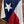 Load image into Gallery viewer, Texas Blanket
