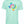 Mint green tshirt with graphic design of the shape of Texas filled in with a rainbow tyedye pattern.